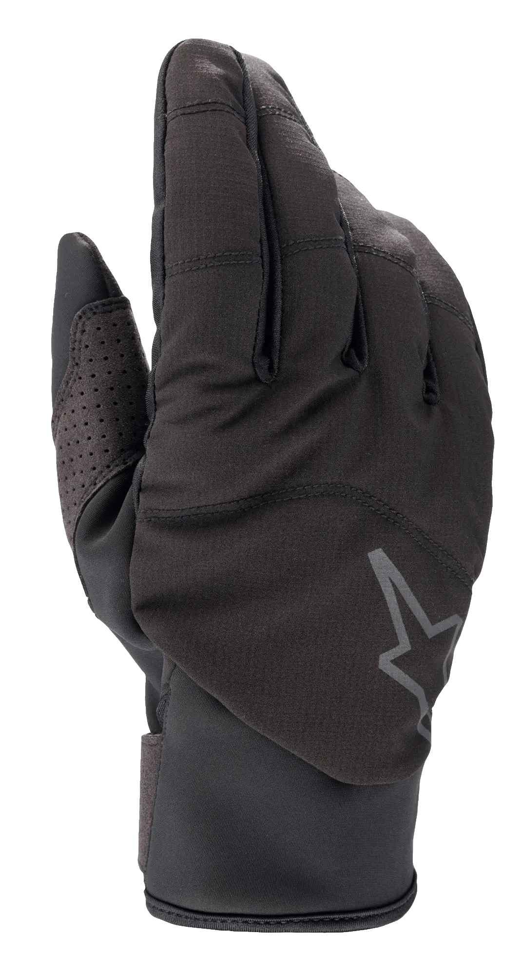 Denali 2 Gloves